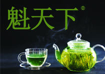 魁天下