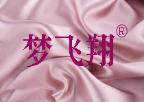 梦飞翔